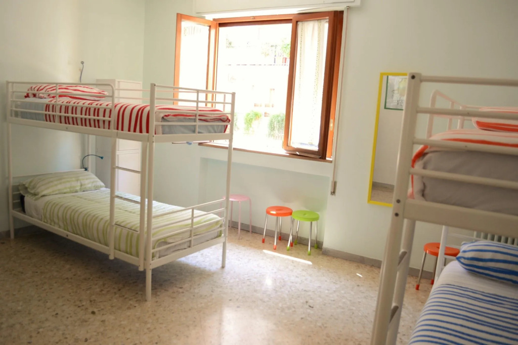 Olive Tree - Hostel