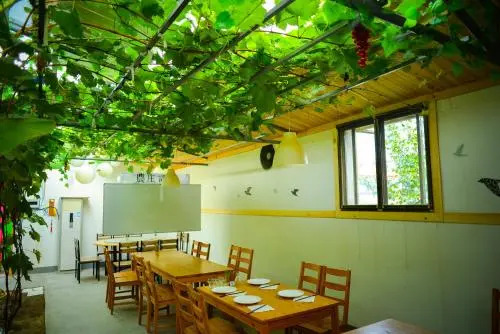 Vinifera Country House