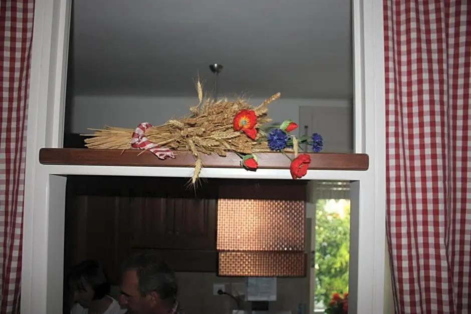 B&B Barucin