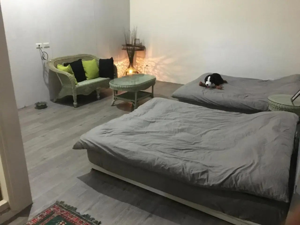 Chen The House