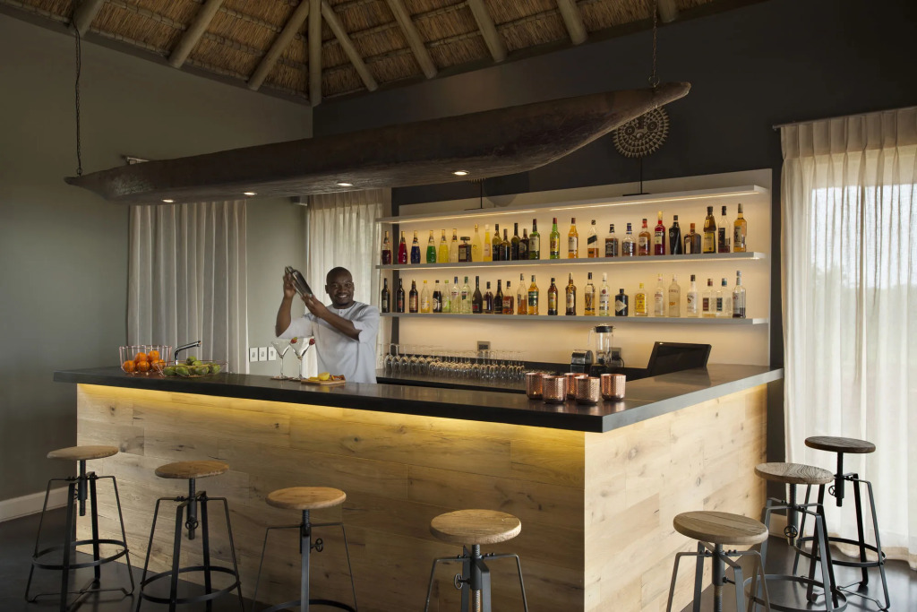 Mhondoro Safari Lodge & Villa