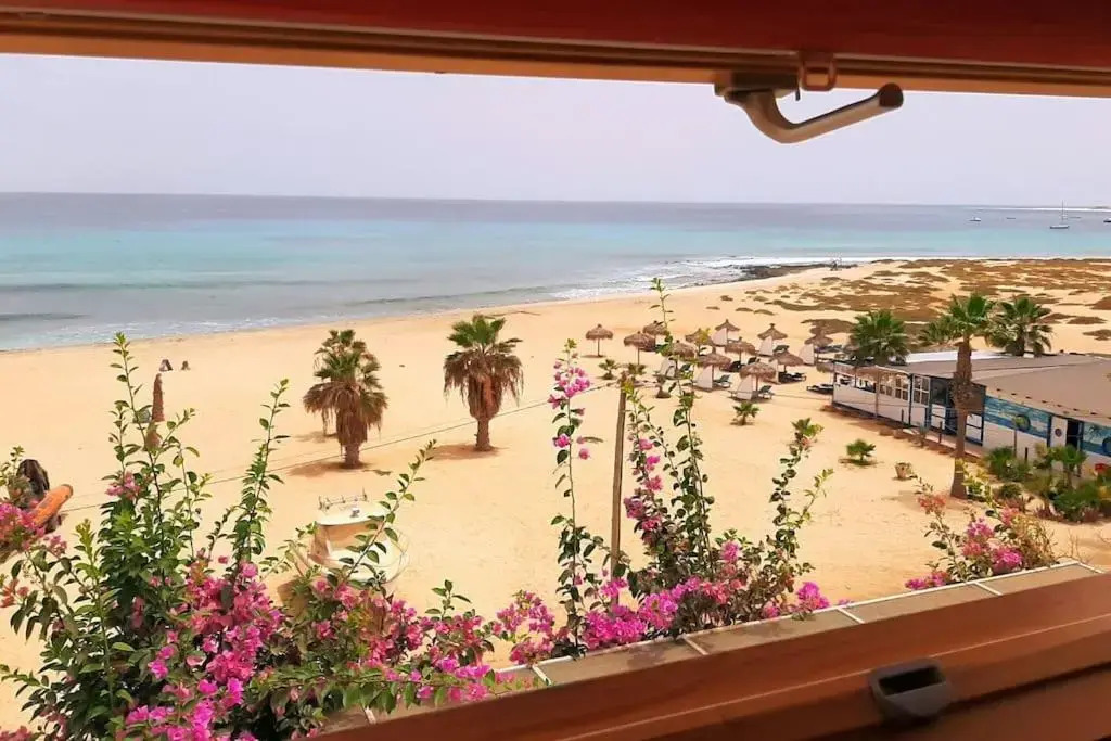 Beach penthouse with rooftopbar and Fiber WiFi, spectacular 180 degrees ocean view