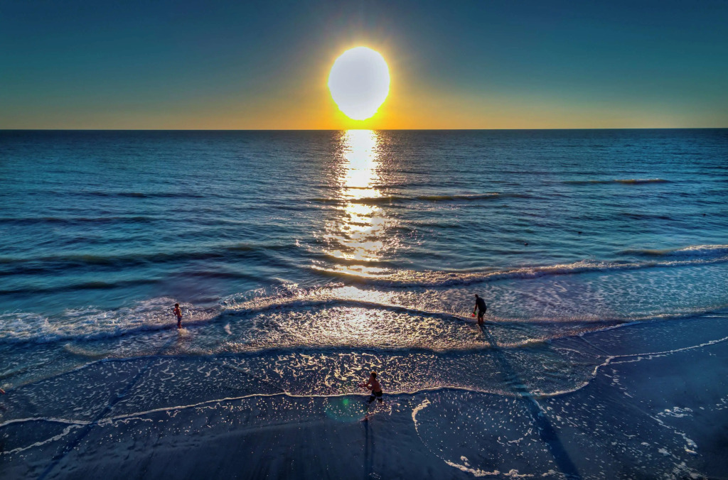 DoubleTree Beach Resort by Hilton Tampa Bay - North Redington Beach