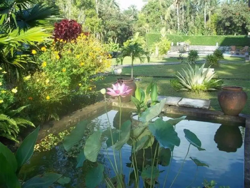 Bukit Asri Lodge