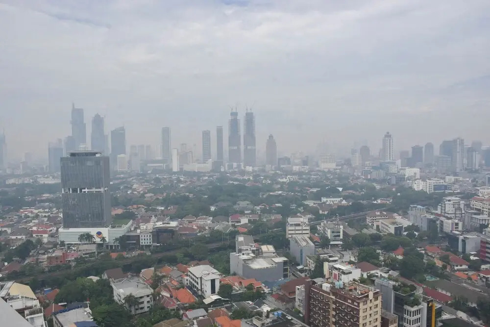 Exclusive and Cozy 2BR at Menteng Park Apartment