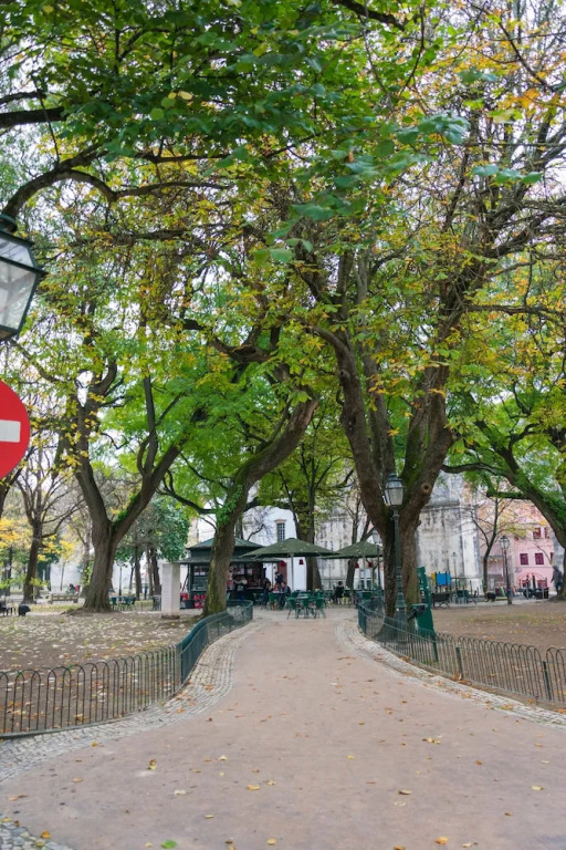 The Mulberry Tree Lisbon Hostel