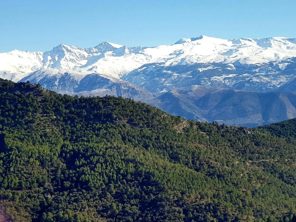 Rincón del Genil