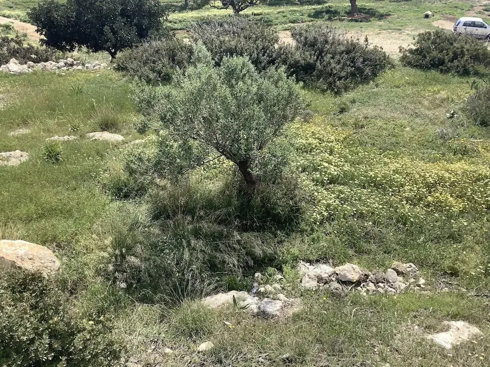 Kalliope Studios Karpathos