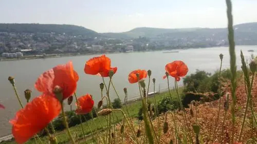 RUTHMANN-Rheinblick GARNI