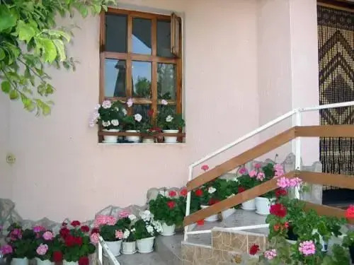 Jotina Guest House