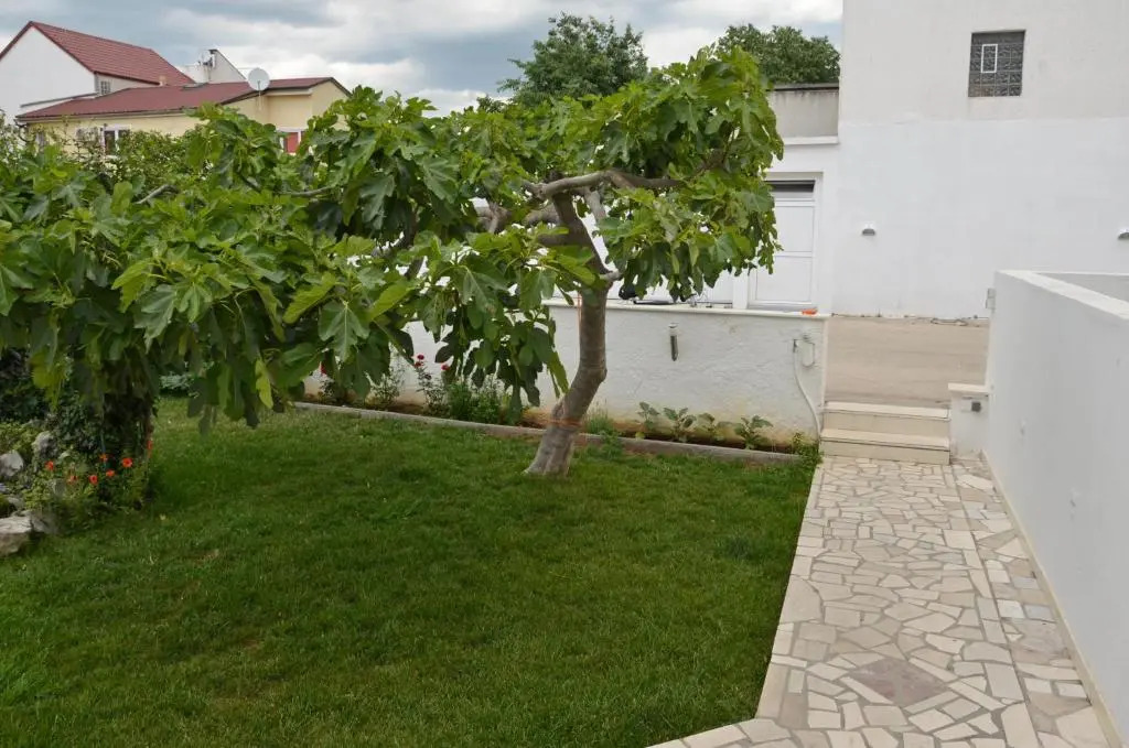 Guesthouse Ana-Maria