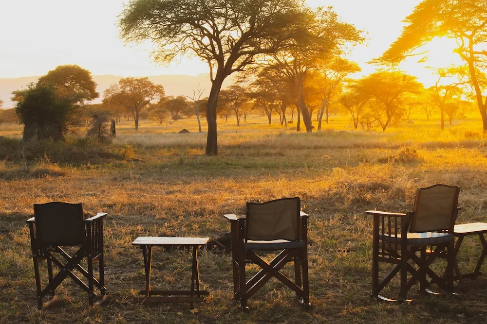 Corfield Camp Tarangire