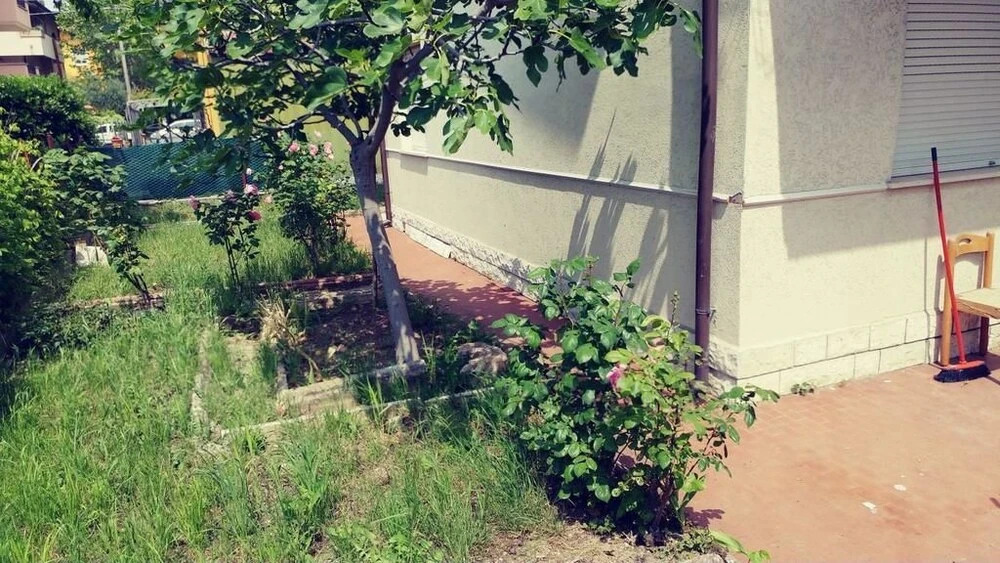La Villetta delle Rose