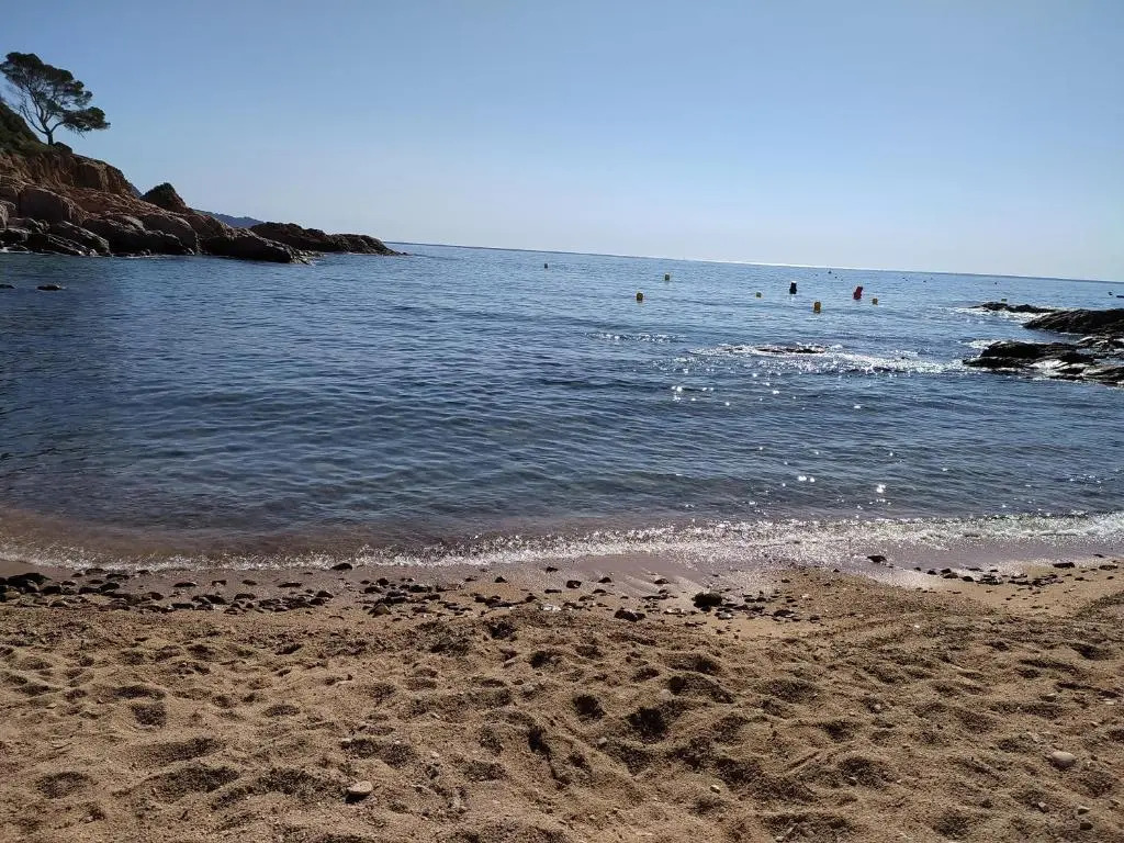 Cala Salions, Chalana III