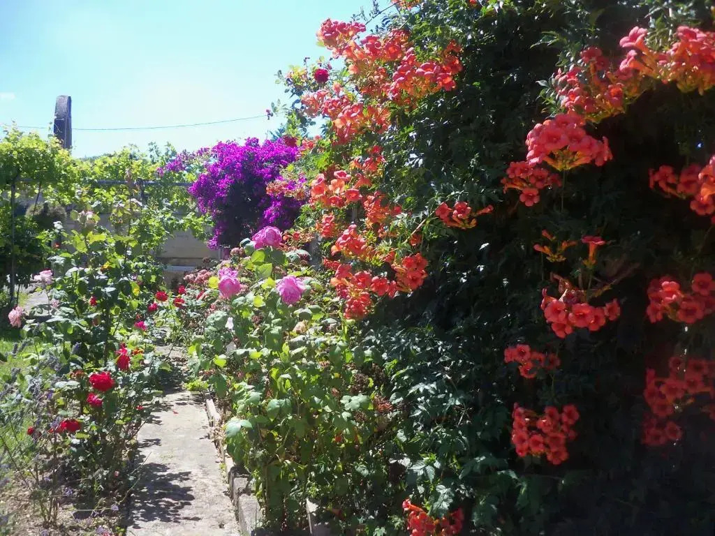 Fuente el Hayedo