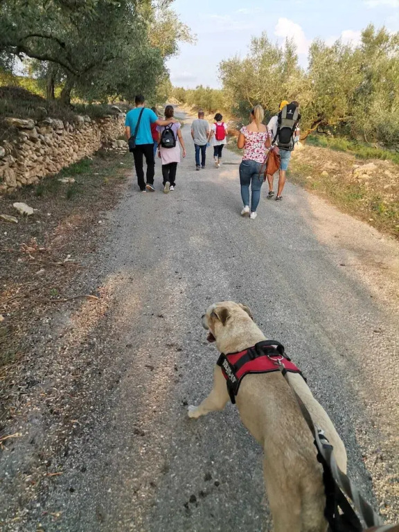 Rural Jordà