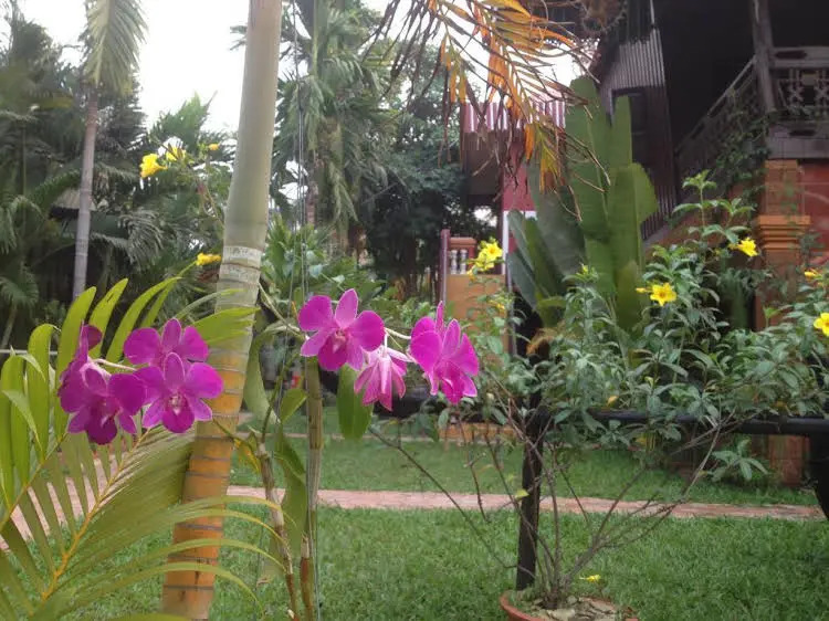 Molina Hotel