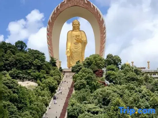 Jiujiang LushanScenic picturesque No. 1 Garden Meisu (Donglin Giant Buddha Store)
