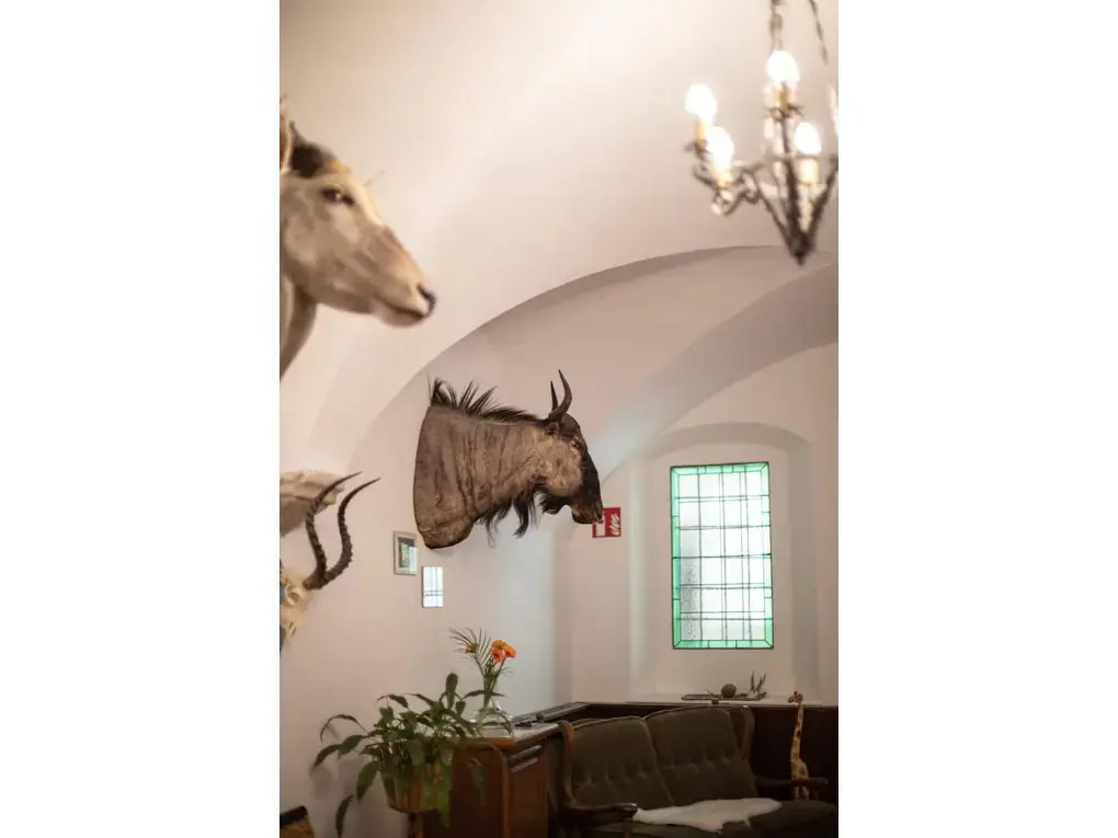 Hotel Zum Goldenen Hirschen