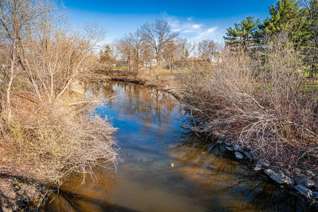Nokomis Nest