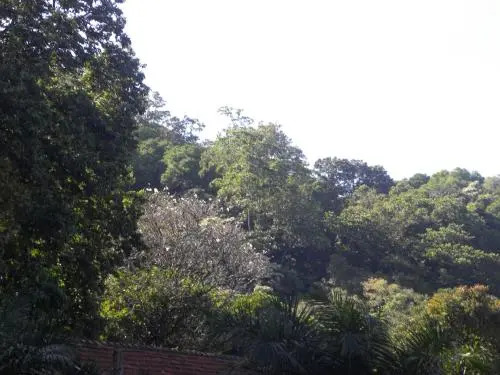 Homestay Kelvin Grove