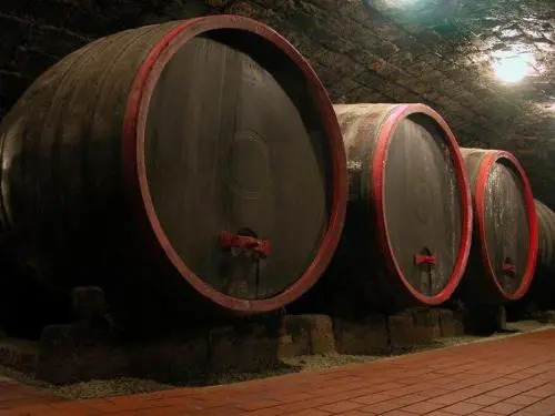 Borgaléria