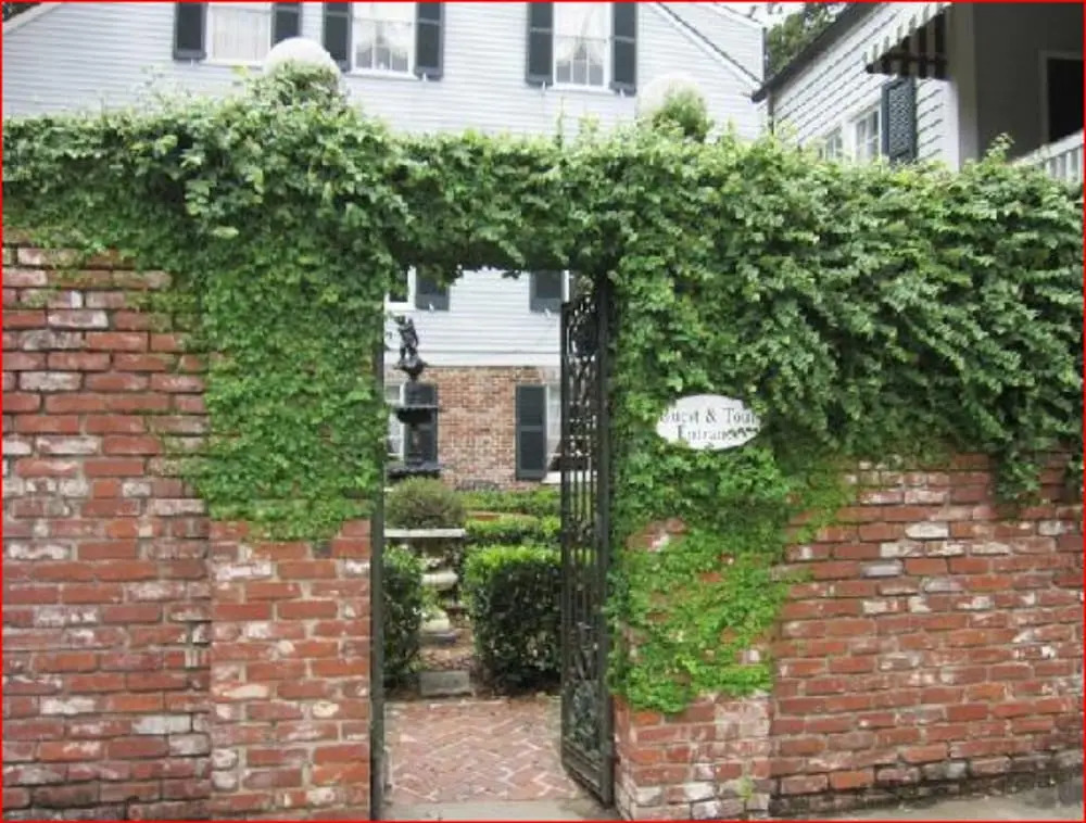 The Burn Bed and Breakfast