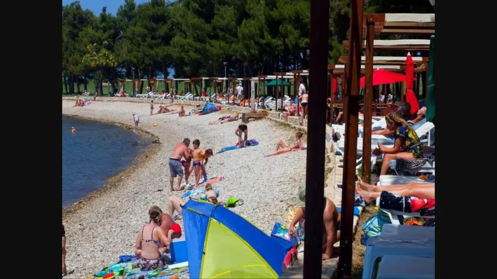 Ivni Apartmani