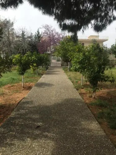 Pine Villa