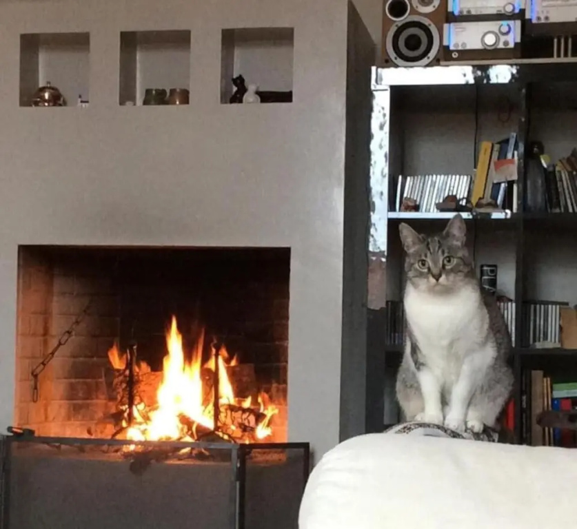 La Casina Dei Gatti