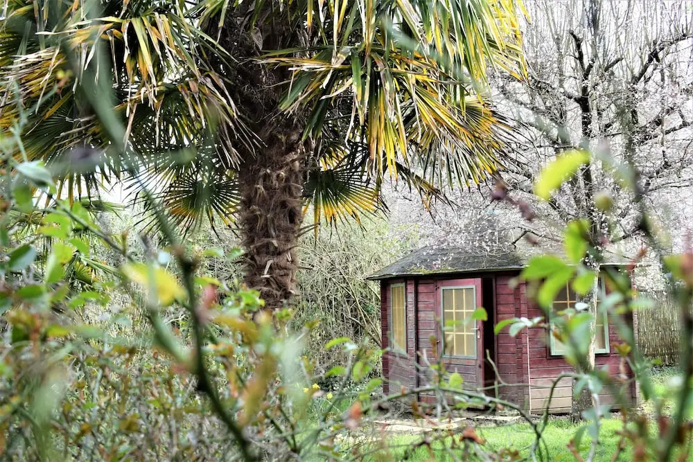 Villa Palmera