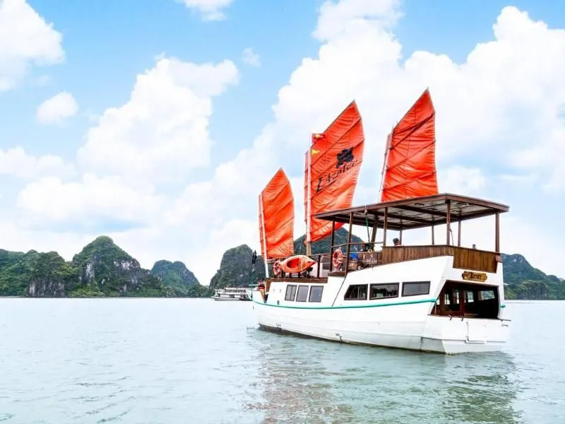 LAzalee Cruise