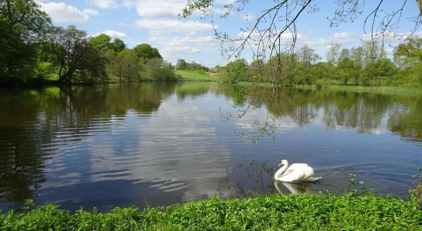 Yew Tree Farm