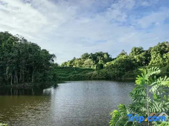 Evernent Lakeside Hideout