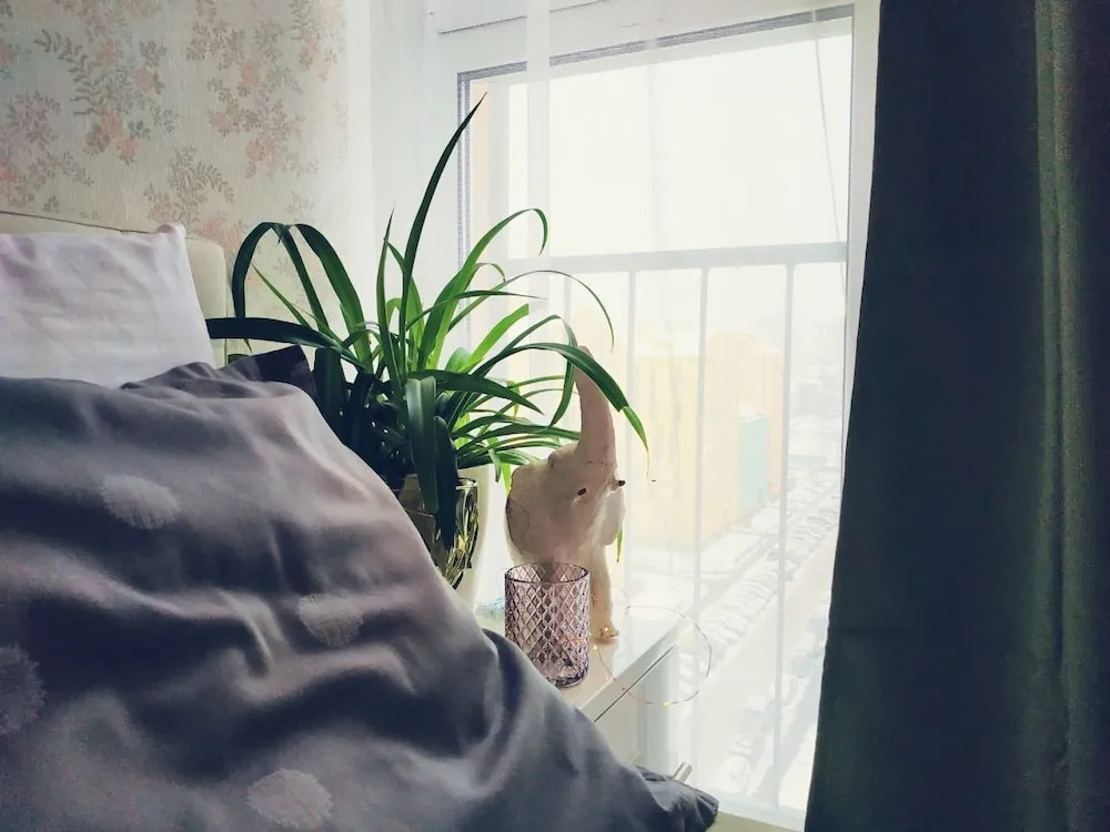 Апартаменты MalinaApt Pink Olive