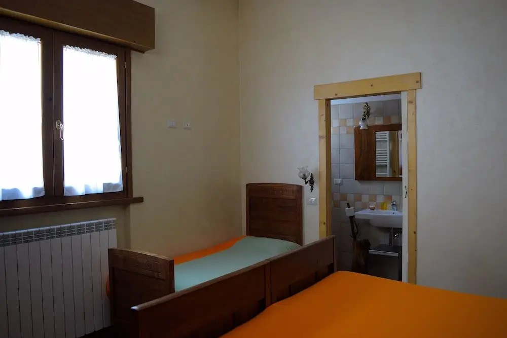 B&B Animali Selvaggi