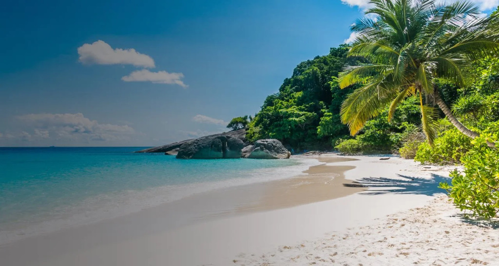 Vanuatu Holiday Hotel