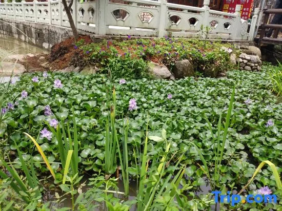 Yuyao Yijia Homestay (Yuyao Siming Lake Scenic Area)