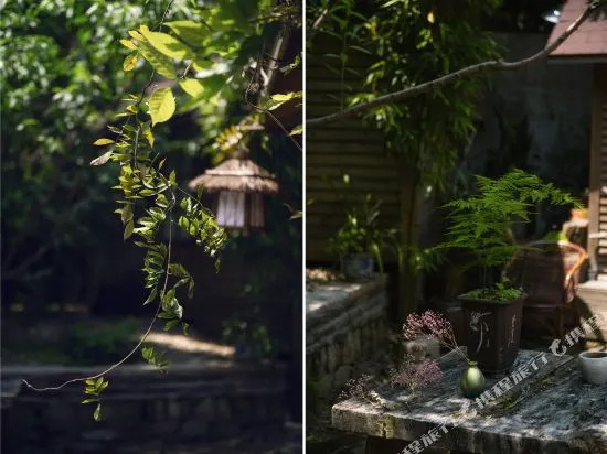 Gulangyu Gallery · Taoyuan Homestay