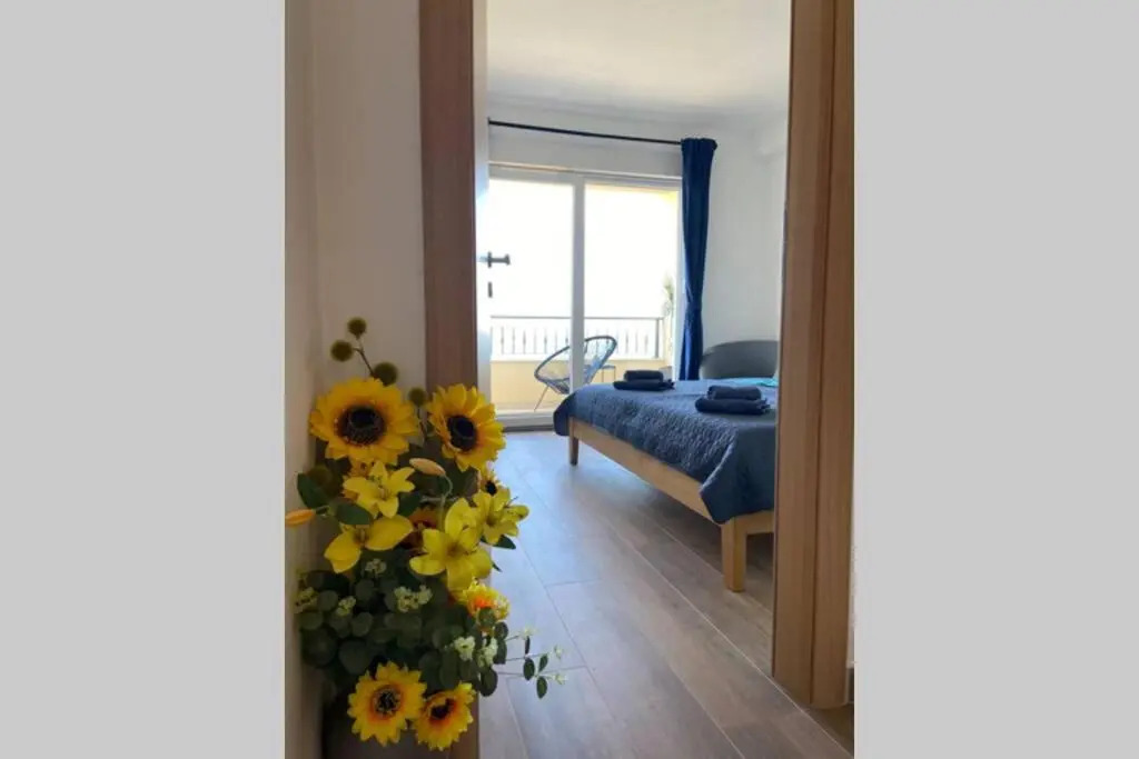 Apartment Sandra (2+2) with a breathtaking view 2