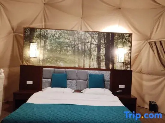 Song Wild Luxury Tent Homestay