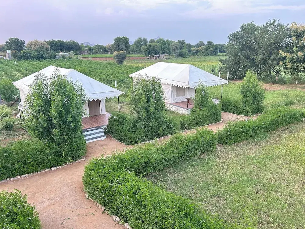 Jawai Horizon Camp