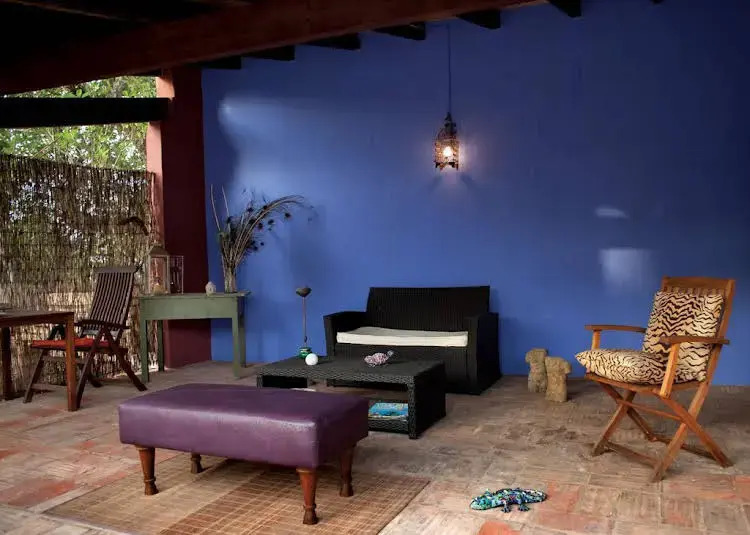 Casa Camaleon