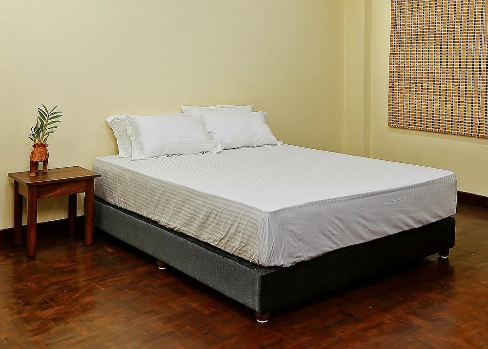 Durbar & Square Apartment