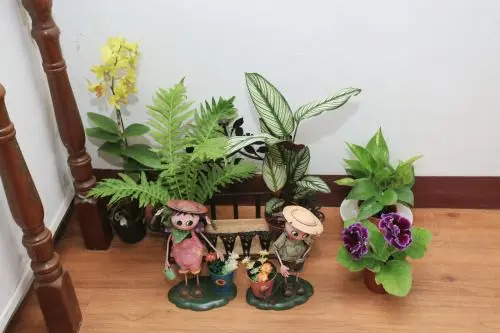 Yilan Homeland B&B
