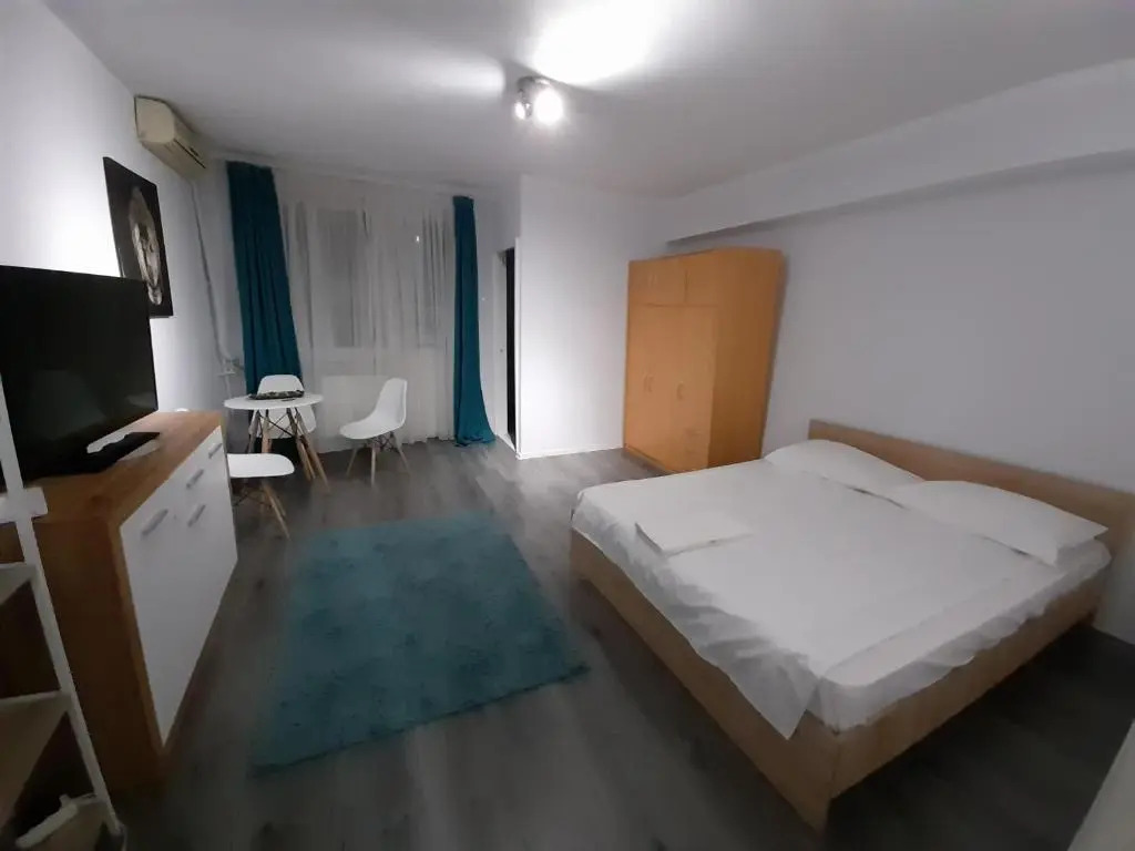 Bega Circumvalatiunii 1 Room Apartment