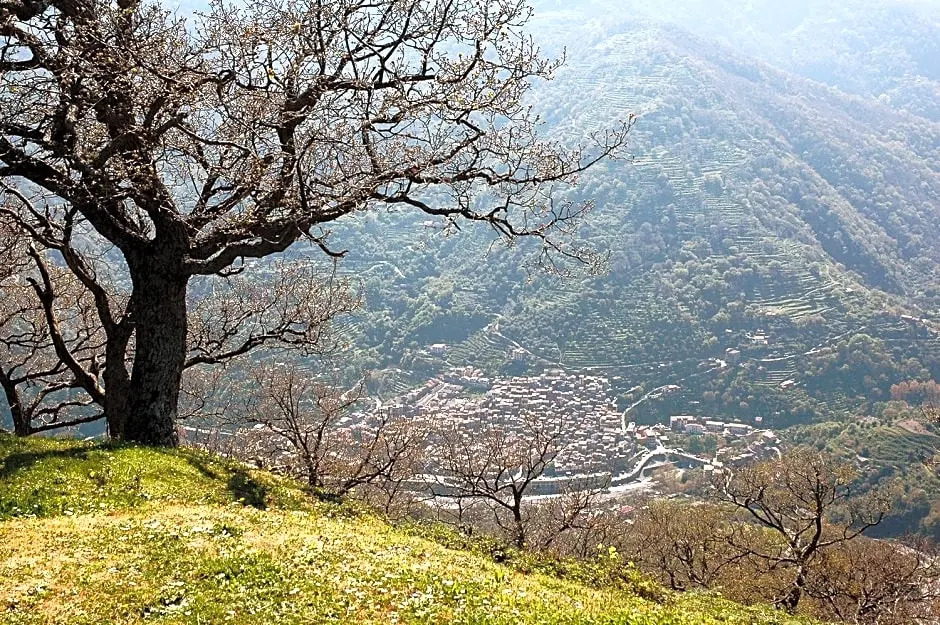 Il Covo dei Re