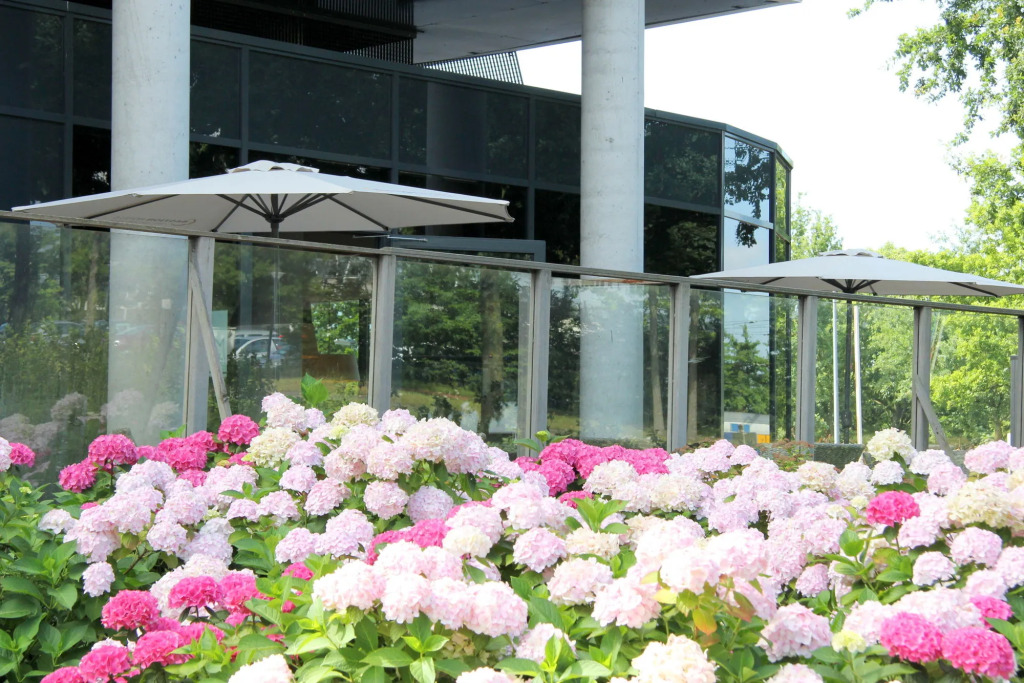 Bastion Hotel Breda