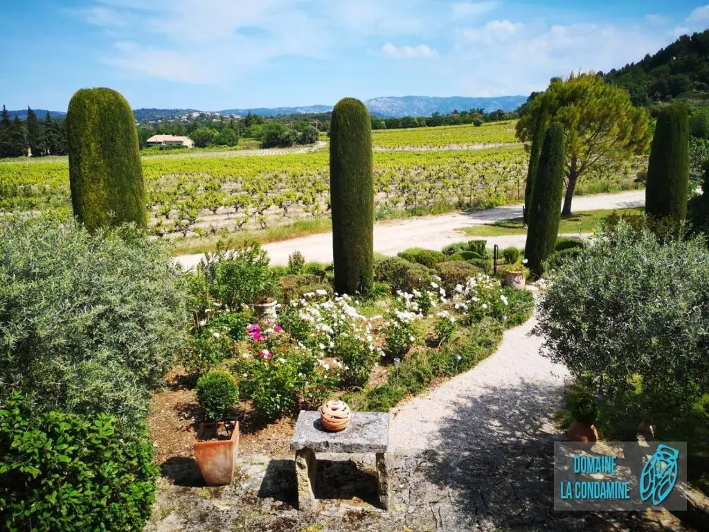 Domaine La Condamine CRILLON LE BRAVE