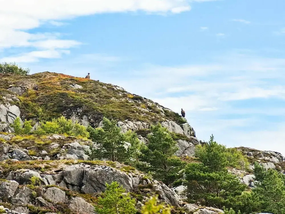 8 Person Holiday Home in Sandstad